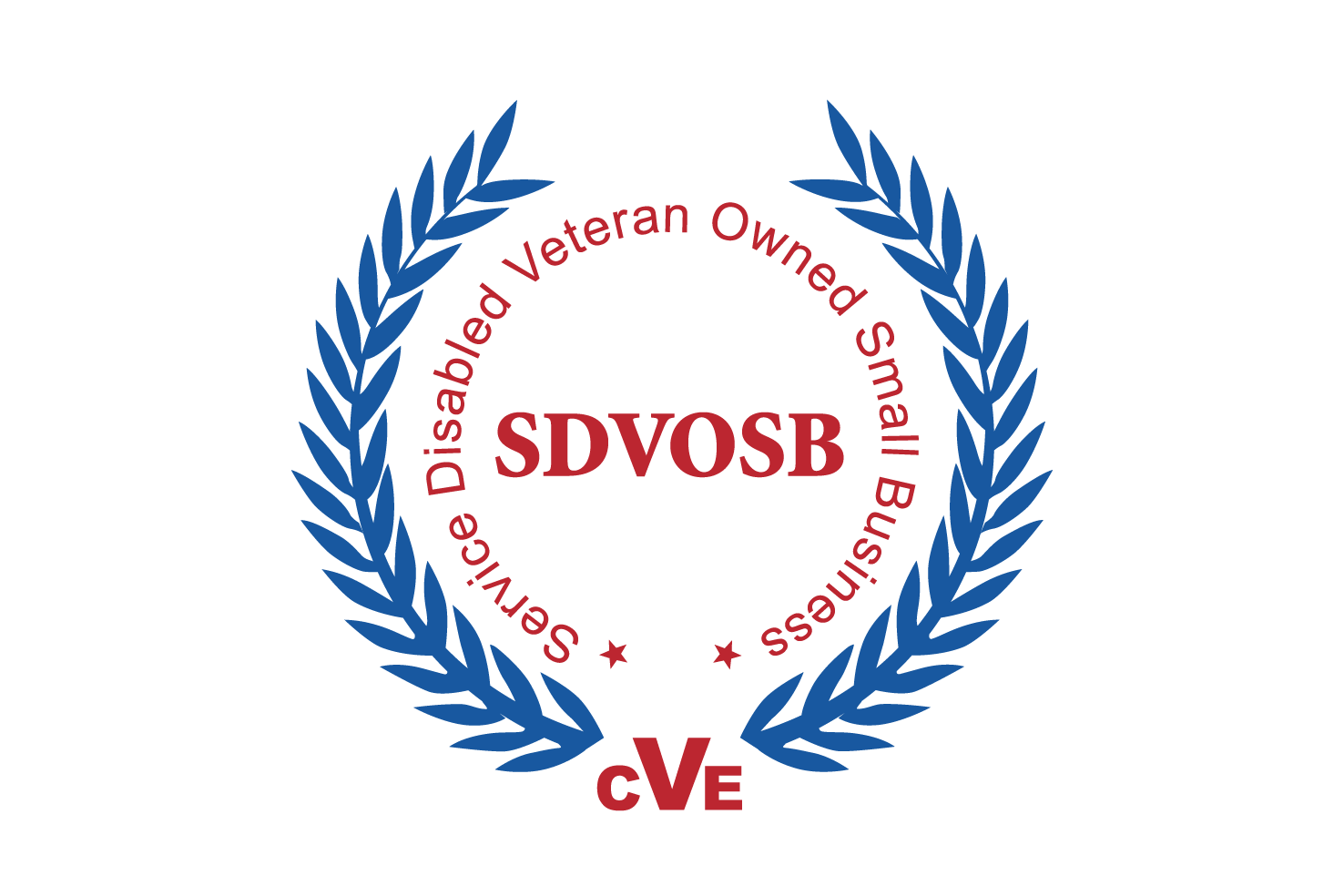 Service-Disabled Veteran-Owned Small Business, CVE Verified